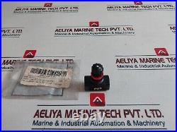 Ingersoll Rand F0-2 1/4 Flow Control Valve 240.25.01.33 Ingersoll Rand F0-2 1/4 Flow Control Valve 240.25.01.33